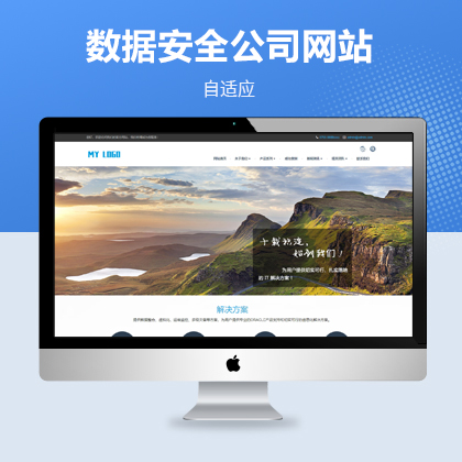 响应式大数据安全公司